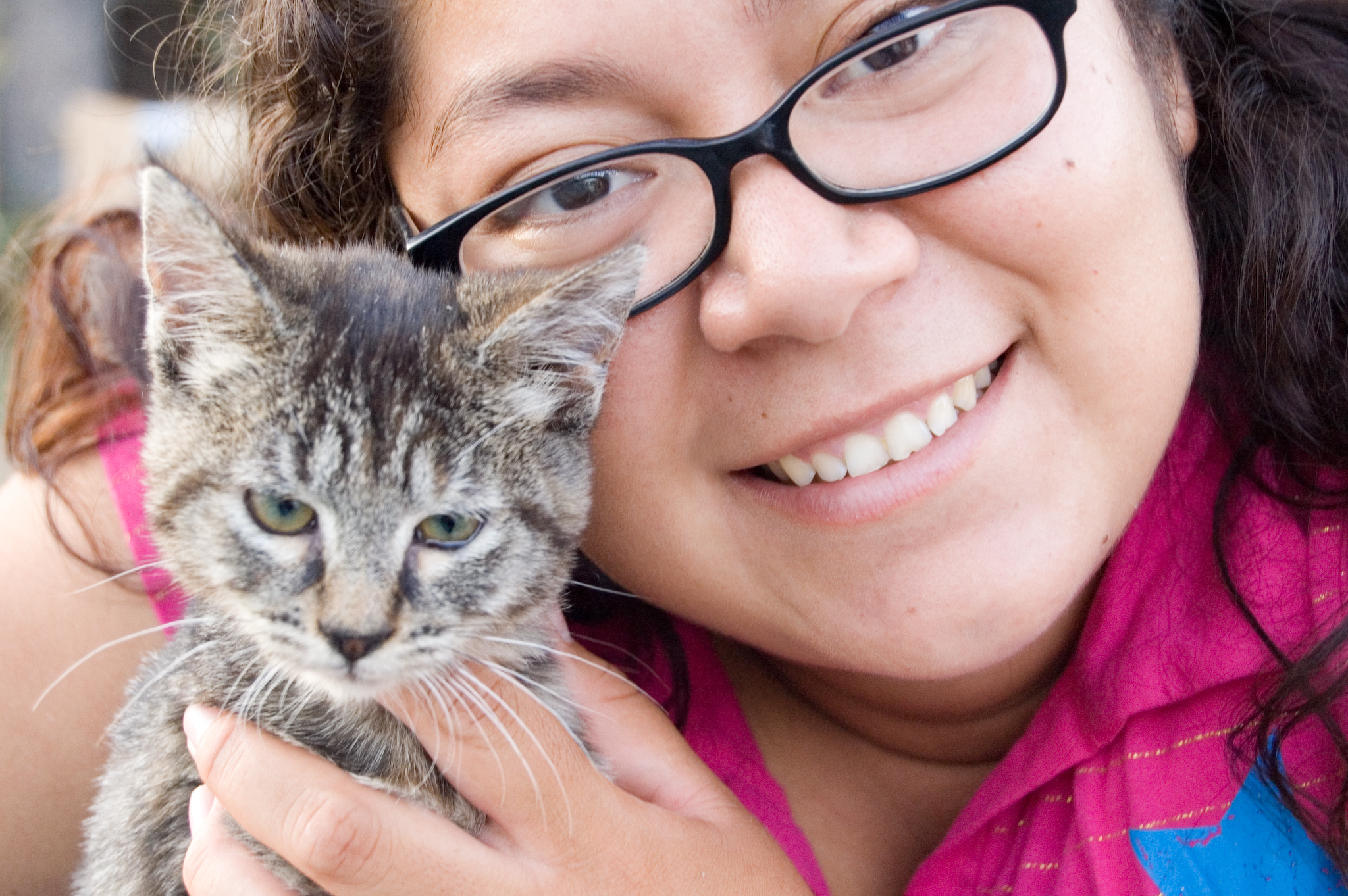 how-i-met-my-mother-cats-loving-their-humans-and-furever-homes-cat-s