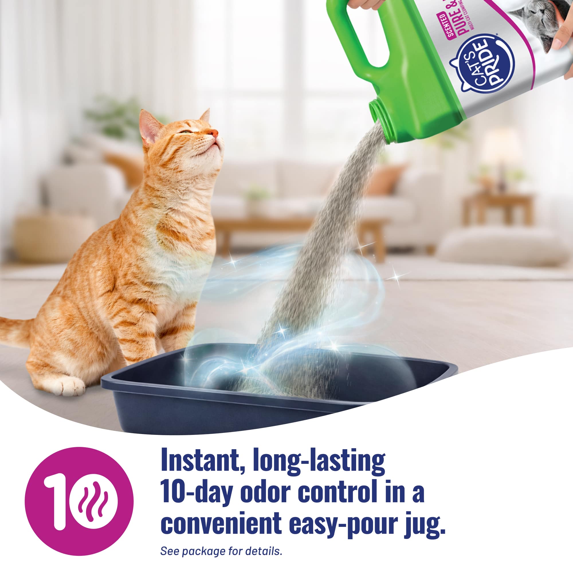 Pure & Fresh - Image 4