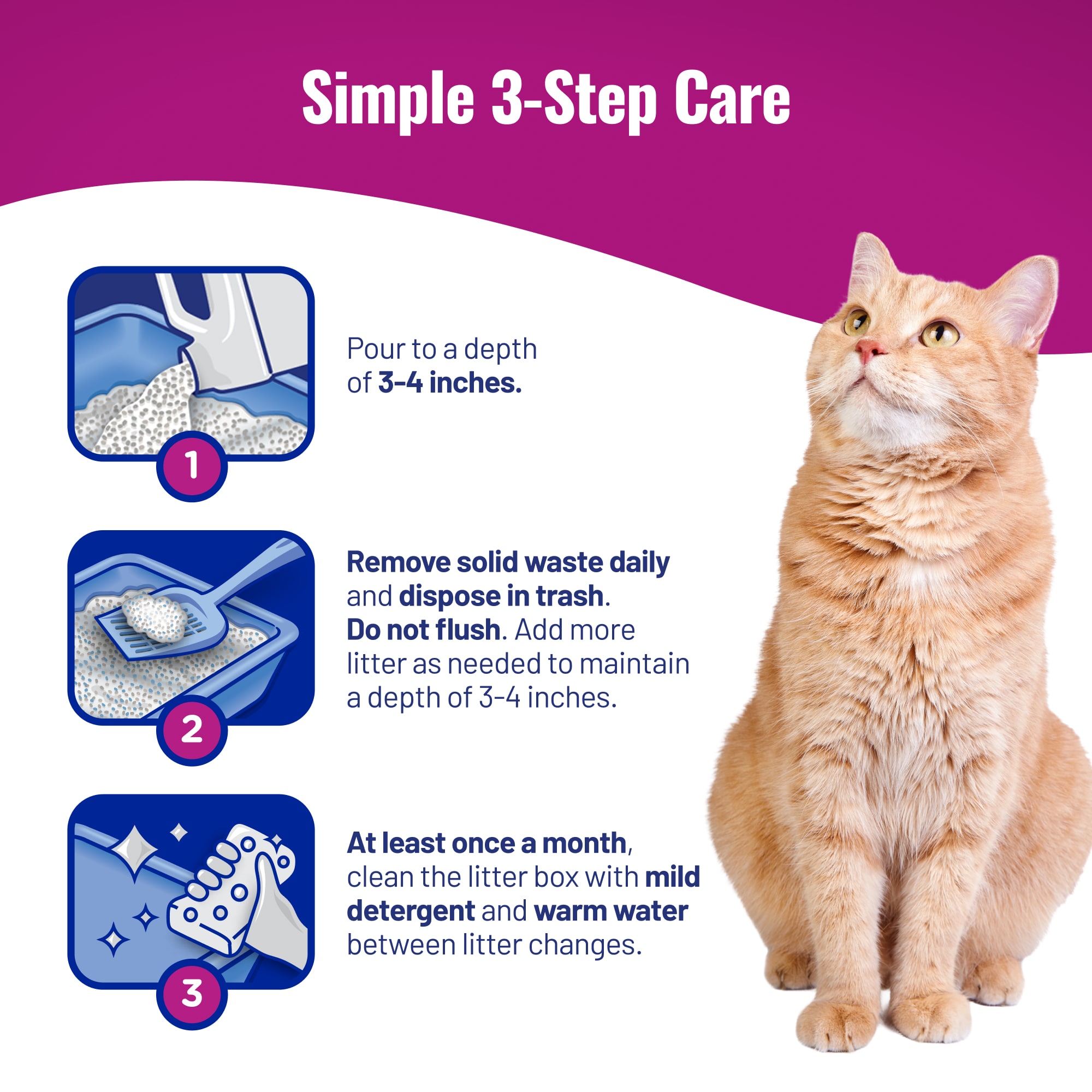 Pure & Fresh - Image 7