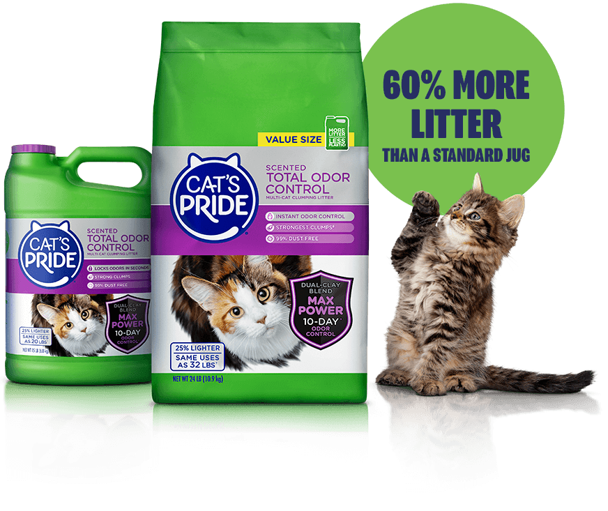 Cat's pride coupons best sale