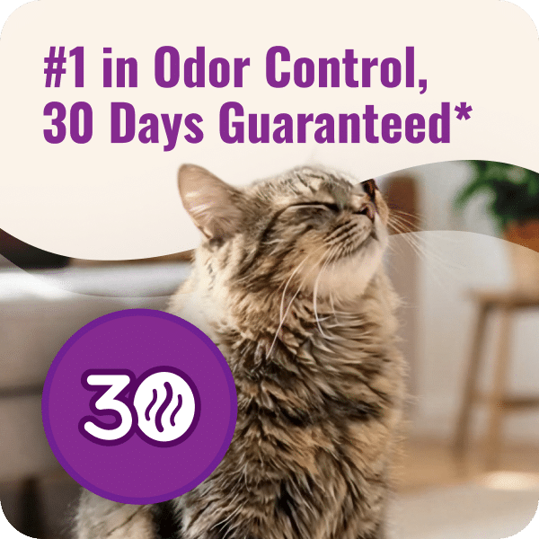 Fresh Scent Total Odor Control Ultra Micro Crystals - Image 13